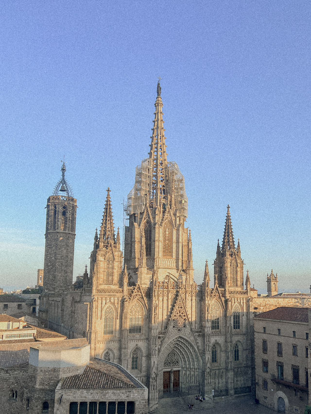 스페인 바르셀로나🇪🇸 뷰맛집 콜론 호텔 루프탑