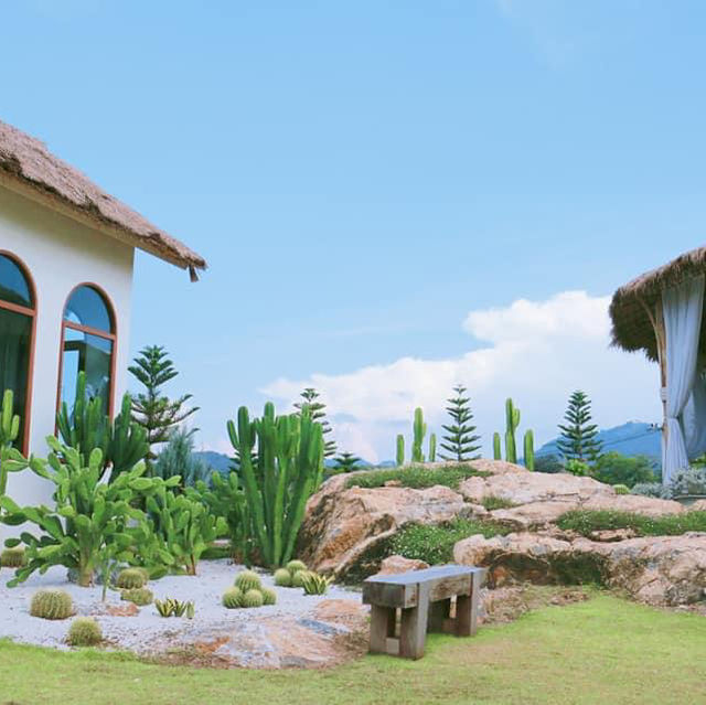 The Peak Flower Land.