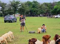 จุดชมวิว นิวซีแลนด์ เมืองไทย 