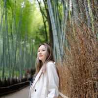 Arashiyama Bamboo Forest เกียวโต ป่าไผ่สุดฮิต