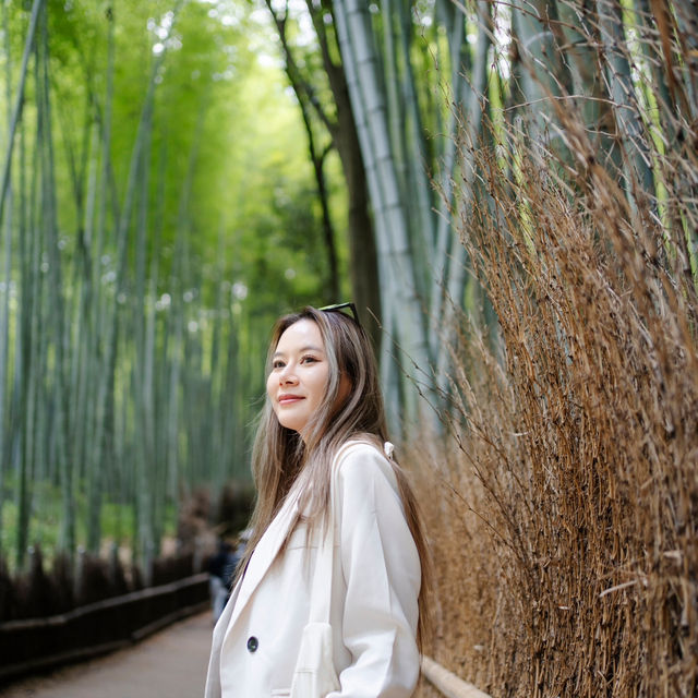 Arashiyama Bamboo Forest เกียวโต ป่าไผ่สุดฮิต