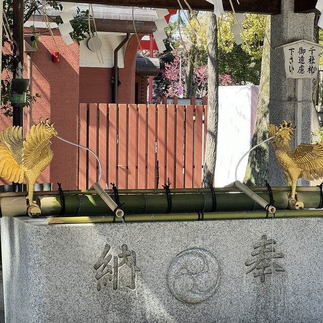 東京清澄白河徒步日記