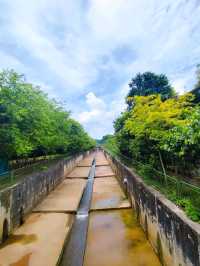 Hidden Gem Sembawang Hot Spring Park