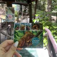 世界でボホールだけ！ターシャと出会える公園