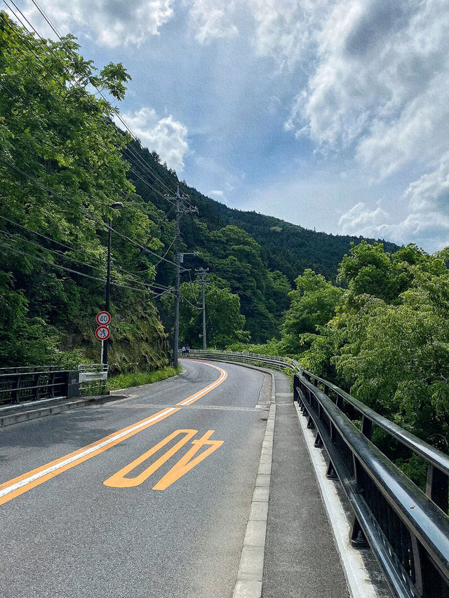 奧多摩町的隱藏自然瑰寶：東京行程中的靜謐綠洲⛰️🌿