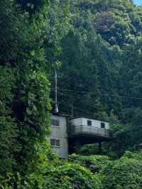 奧多摩町的隱藏自然瑰寶：東京行程中的靜謐綠洲⛰️🌿