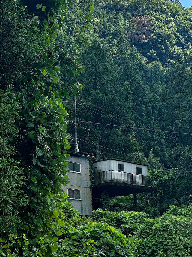 奧多摩町的隱藏自然瑰寶：東京行程中的靜謐綠洲⛰️🌿