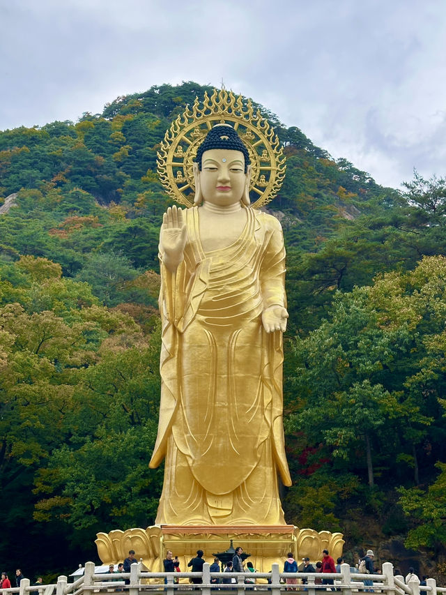 💛 가을을 만끽할 수 있는 🍁 충북 보은군 아름다운 가을 사찰 나들이 명소 🧡