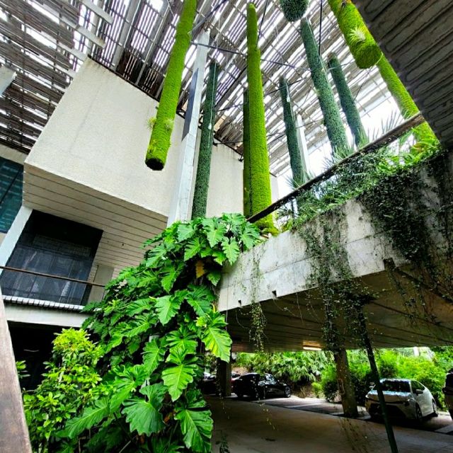 @ THE PEREZ ART MUSEUM MIAMI.