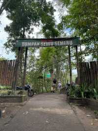 Tumpak Sewu, Asian Niagara Falls