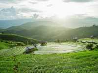 นาขั้นบันไดป่าบงเปียง เชียงใหม่🌾🌿