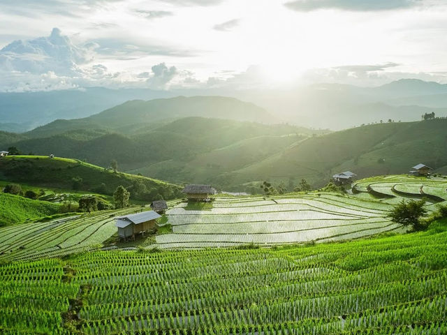 นาขั้นบันไดป่าบงเปียง เชียงใหม่🌾🌿