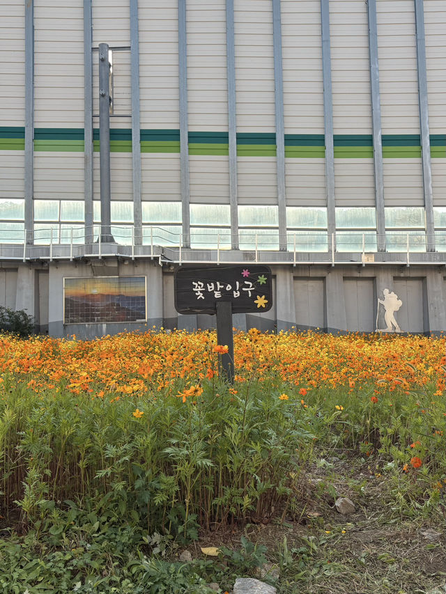 友達と1泊2日강릉trip &1人で4泊5日서울trip🍀