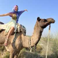Don’t Camel Around for 1.5 Days! Just sunset it (India)