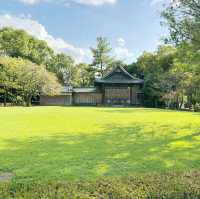 Garden of Wonders: Discovering the Beauty of Suizenji in Kumamoto!