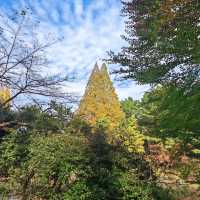 舍人公園：秋色如畫🍂🌳