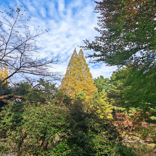 舍人公園：秋色如畫🍂🌳