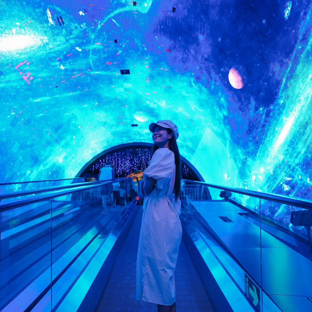 พาเที่ยวอควาเรียมกวางโจวZhengjia Polar Ocean World