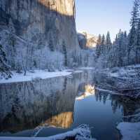 A collection of wintry reflection after fresh snowfall