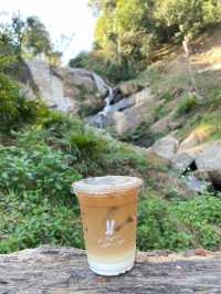 WTF Coffee Camp 🏕️ 