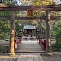 【埼玉】花手水が美しい神社