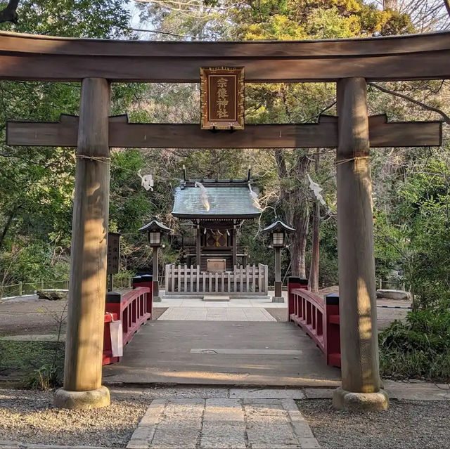 【埼玉】花手水が美しい神社