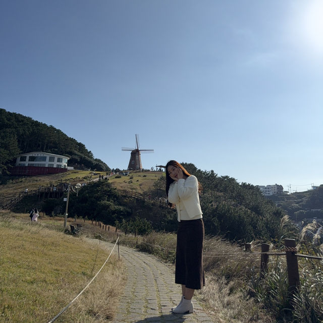 바람과 풍차가 빚어낸 동화 속 풍경, 거제 바람의 언덕🎑
