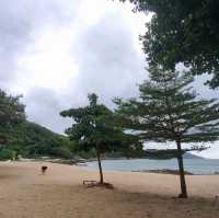 南丫島隱世渡假屋--碧濤軒