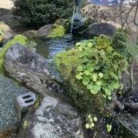 【おんせん県おおいた】美しい花手水に癒される嵐山瀧神社&三日月の滝