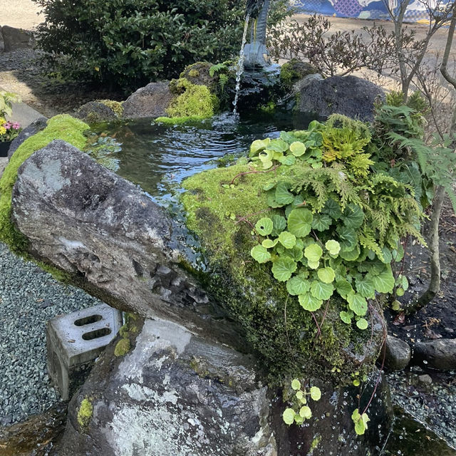 【おんせん県おおいた】美しい花手水に癒される嵐山瀧神社&三日月の滝