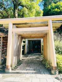 【神奈川県/鎌倉　“境内の湧き水で銭を洗うと富が増える”と言われている『銭洗弁財天 宇賀福神社』】