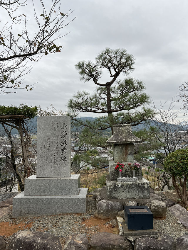 Journey Through Time at Maruoka Castle