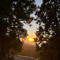 Explore the magical Alishan, Taiwan