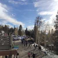 Explore the scenic winter view at Flagstaff Arizona 