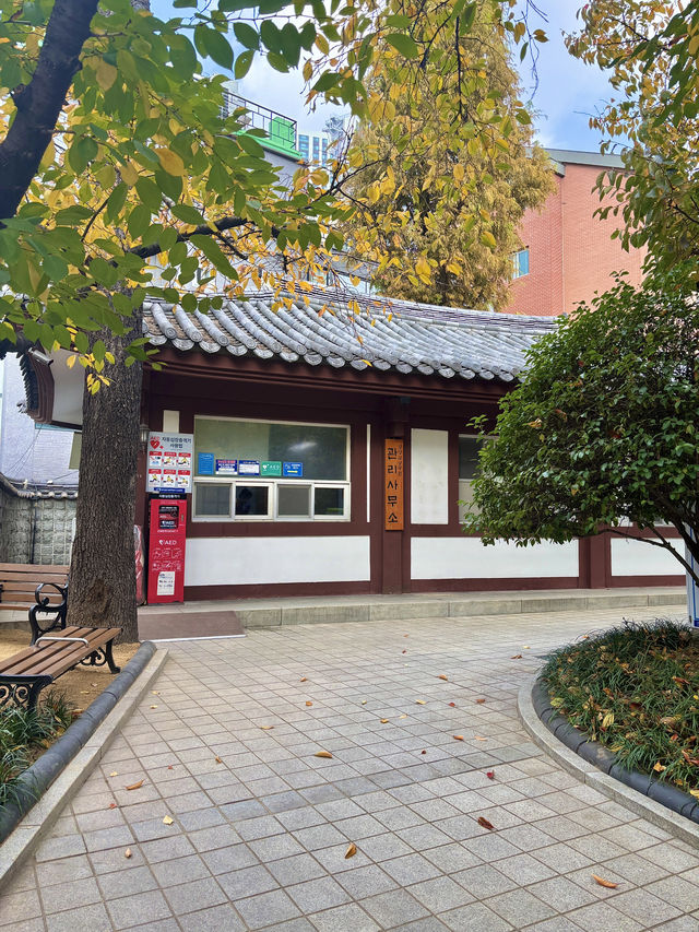 가을공기를 마시면서 산책하기 좋은 역사공간 대구공원❤️