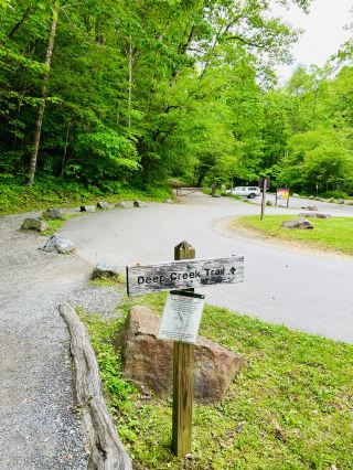 ［北卡旅遊］Great Smoky Mountains National Park-大煙山國家公園⛰️