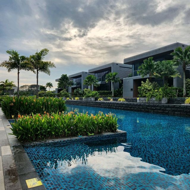 Plane-Watching by the Pool?