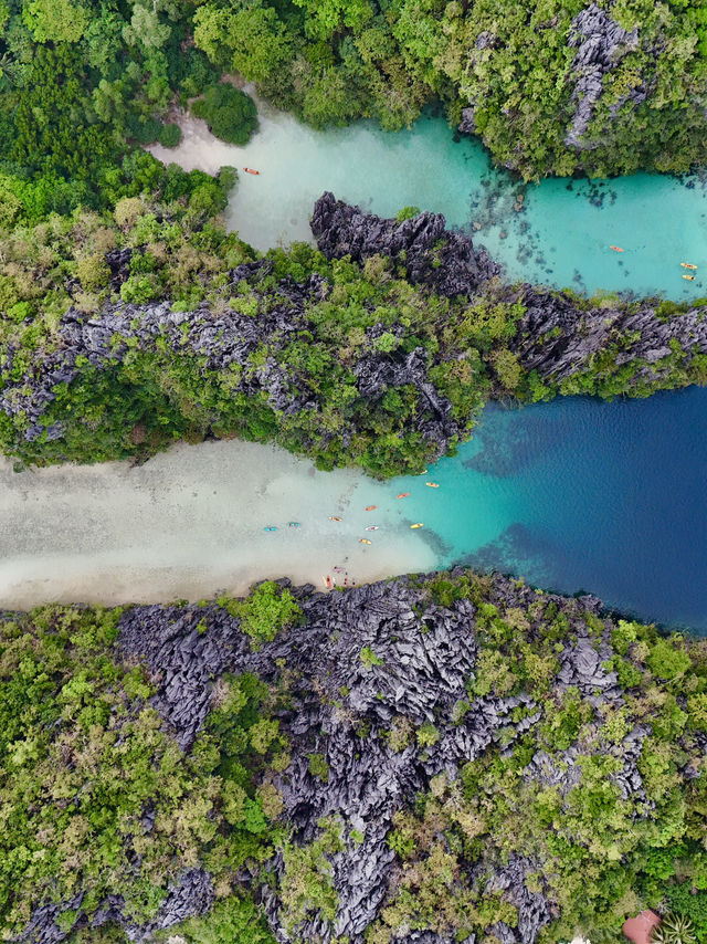 菲律賓 | 愛妮島最出名嘅big lagoon 萬物錯過😍