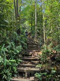 Escape to Nature: Hiking Bukit Gasing's Serene Trails
