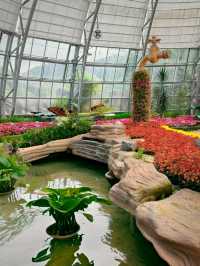 Ride the Fun Wave: Unforgettable Moments at Vinpearl Land
