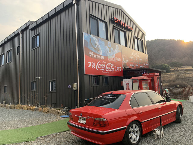  "고령의 매력, 코카콜라와 카메라가 만난 대가야 카페"