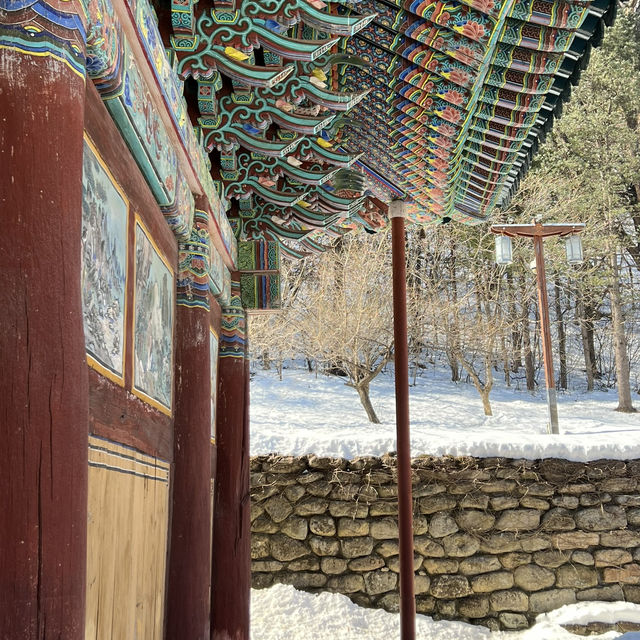 겨울여행지 추천! 설산이 멋진 설악산케이블카 여행🏔️
