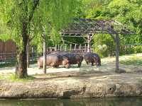 城市的綠洲：一日游首爾大公園