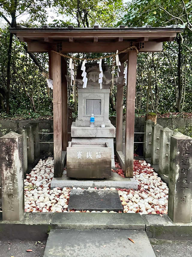 【熊本大神宮】