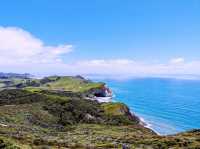 Pillar Point Light Beacon Station