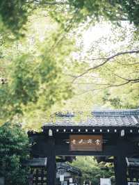 初夏の常寂光寺🌿静寂に包まれる癒しの空間