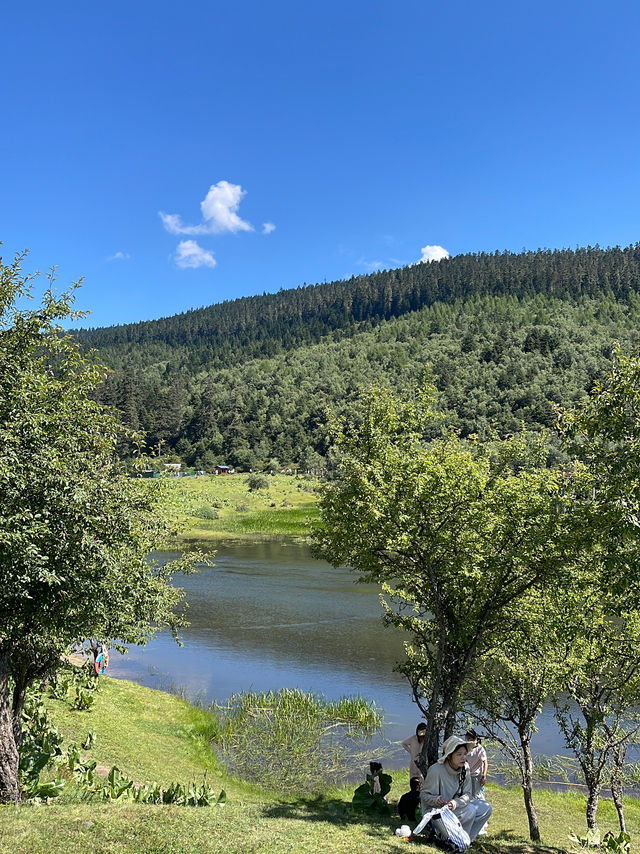 A Day in Paradise: Exploring the Serenity of Potatso National Park in Shangri-La