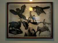 人類與動植物關係學 ANTHROZOOLOGY 展覽
