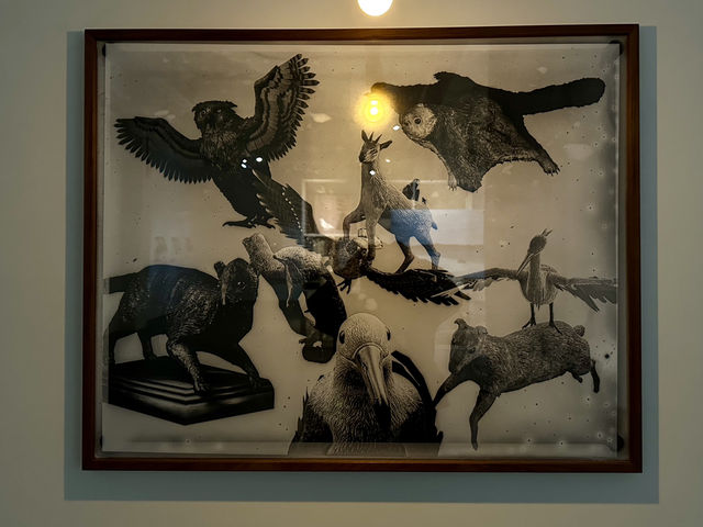 人類與動植物關係學 ANTHROZOOLOGY 展覽