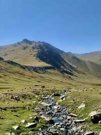 Nayrn - Hiking in GRASSY mountains 🏔️🥺